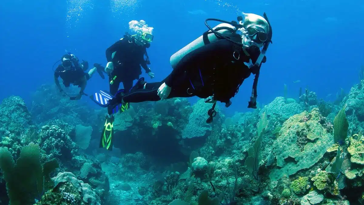 Scuba diving in Bali